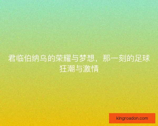 君临伯纳乌的荣耀与梦想，那一刻的足球狂潮与激情