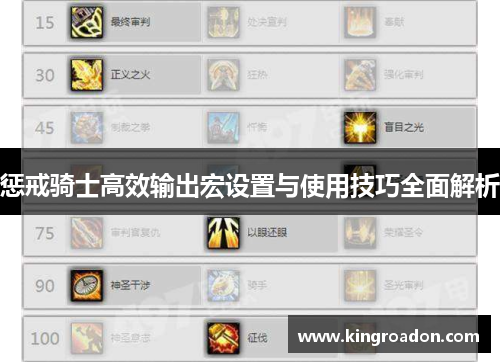惩戒骑士高效输出宏设置与使用技巧全面解析