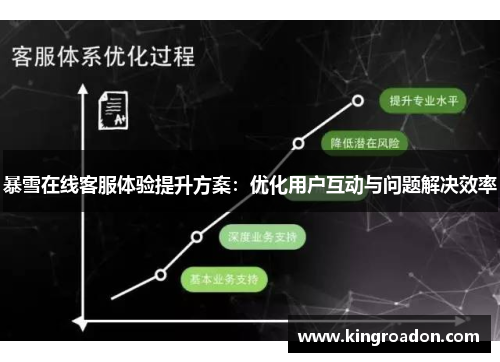 暴雪在线客服体验提升方案：优化用户互动与问题解决效率