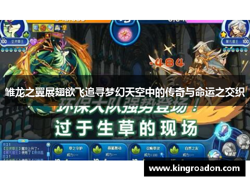 雏龙之翼展翅欲飞追寻梦幻天空中的传奇与命运之交织
