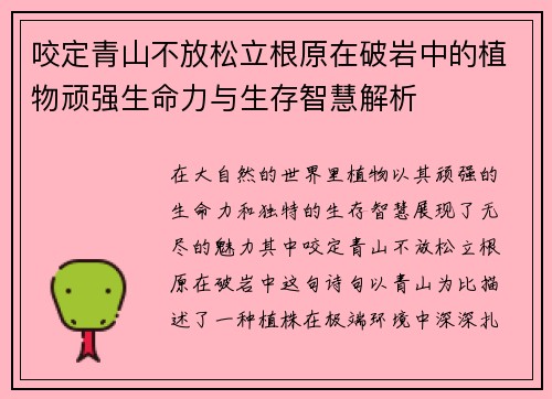 咬定青山不放松立根原在破岩中的植物顽强生命力与生存智慧解析